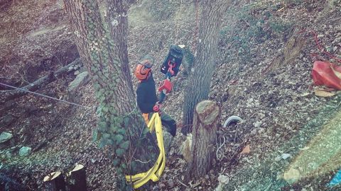 Treuil en action en forêt dans une zone accidentée. Treuil en action en forêt dans une zone accidentée.