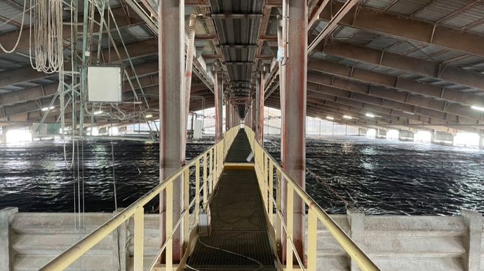 Selon les dirigeants d'Euralis, la fumigation est l'« une des méthodes qui a fait ses preuves pour la désinsectisation »