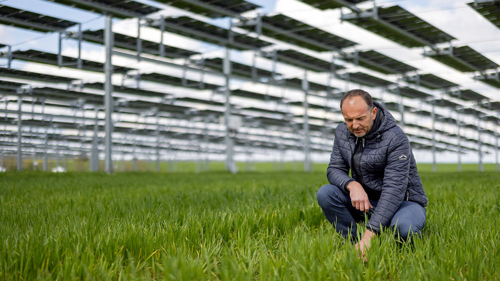 À la SCEA des Tours (Côte-d’Or), la canopée agricole tient ses promesses