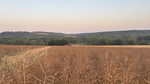Et chez vous ? Comment se passe cette moisson 2025 ? N'hésitez pas à venir partager la situation de votre secteur dans les commentaires ci-dessous.