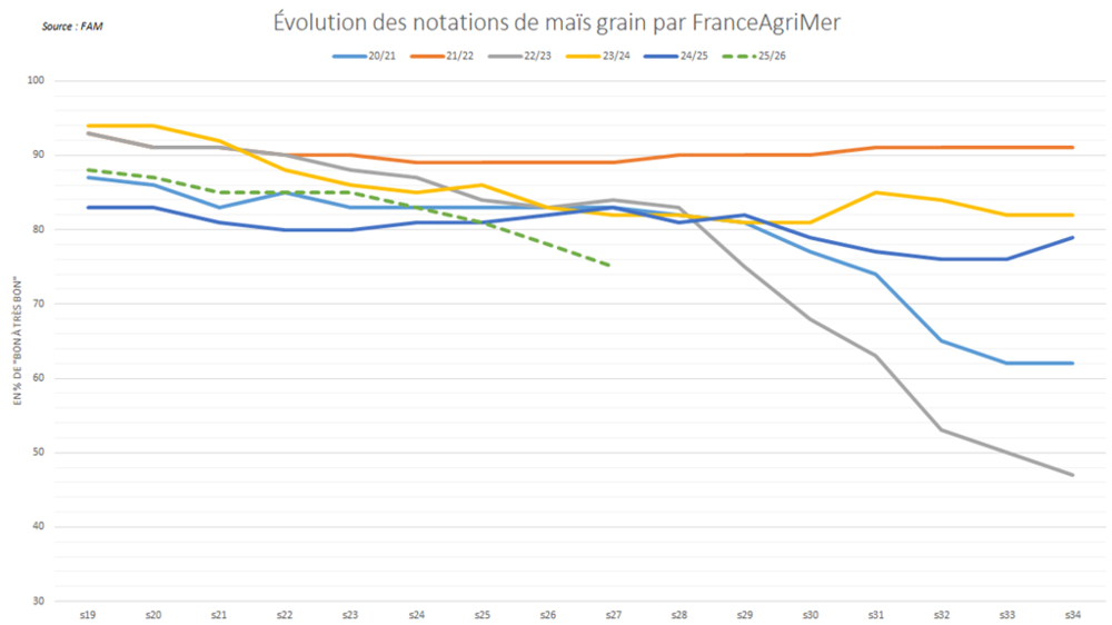 Les notations de maïs grain en France déclinent très rapidement. Les notations de maïs grain en France déclinent très rapidement.
