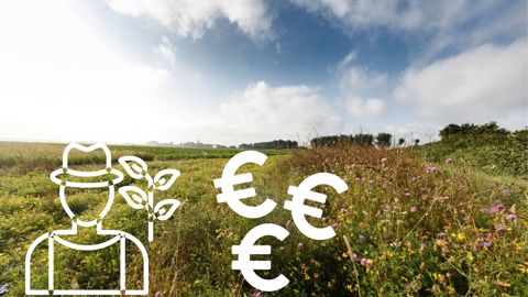 Quelles sont les caractéristiques du paiement pour service environnemental ?