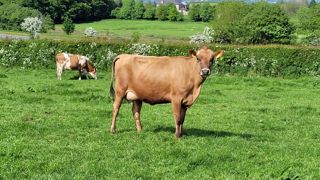 Les agriculteurs affirment que les propositions du Programme d'action pour la fertilisation vont les contraindre à cesser leur activité si elles sont mises en œuvre. Les agriculteurs affirment que les propositions du Programme d'action pour la fertilisation vont les contraindre à cesser leur activité si elles sont mises en œuvre.