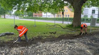 Une vingtaine d’apprentis en horticulture et en paysage, français et allemands, ont partagé une expérience professionnelle et culturelle à Osnabrück, en Allemagne, autour d’un aménagement paysager réalisé en commun. Une vingtaine d’apprentis en horticulture et en paysage, français et allemands, ont partagé une expérience professionnelle et culturelle à Osnabrück, en Allemagne, autour d’un aménagement paysager réalisé en commun.