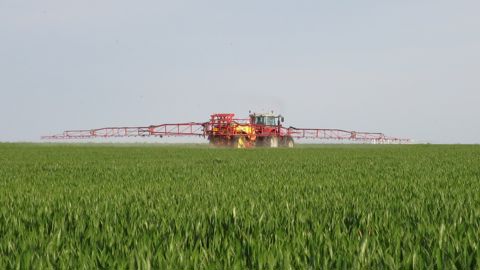 Associé à un fongicide, Bayfolan Aktivator, de Bayer, a montré, dans une vingtaine d'essais en grandes parcelles, un gain de rendement de 2,5 à 3,5 q/ha en blé.