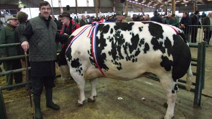 Concours bovin 18 mars 2013 à rouen : championne