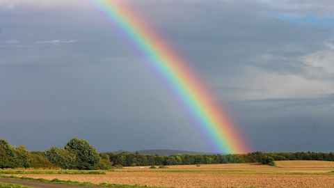 Des pluies régulières et des températures plus douces ont profité aux cultures de printemps.