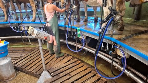 Les associés ont soigneusement imbriqué les cinq palettes les unes dans les autres.