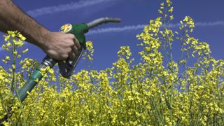 Le B100 et le biogaz sont « injustement » écartées des solutions promues par le rapport de la DGE pour la décarbonation du transport de marchandises, dénoncent les filières concernées. Le B100 et le biogaz sont « injustement » écartées des solutions promues par le rapport de la DGE pour la décarbonation du transport de marchandises, dénoncent les filières concernées.