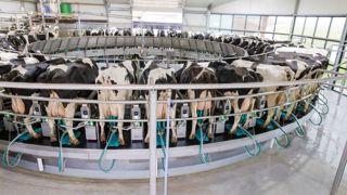 Le DairyRotor T8600 est le nouveau roto en traite extérieure de GEA. Allant jusque 72 places, il utilise les dernières solutions connectées du constructeur. Le DairyRotor T8600 est le nouveau roto en traite extérieure de GEA. Allant jusque 72 places, il utilise les dernières solutions connectées du constructeur.