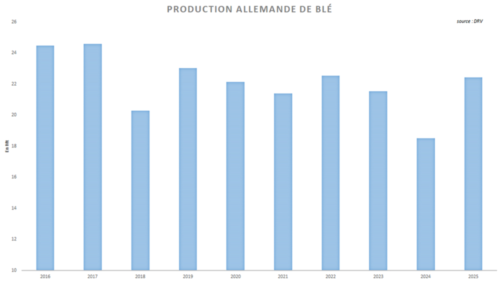 L'Allemagne a enregistré un vif rebond de sa production nationale de blé.