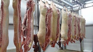 La production de viande porcine est en hausse entre janvier et mars 2025 (+3,2 % en glissement annuel) dans l’Union européenne. La production de viande porcine est en hausse entre janvier et mars 2025 (+3,2 % en glissement annuel) dans l’Union européenne.