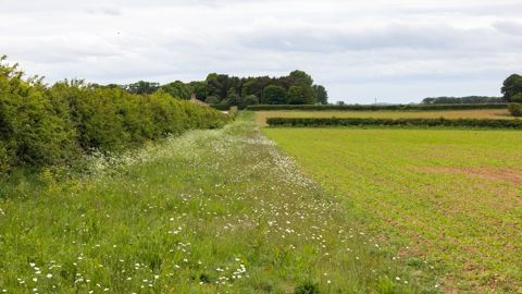 En 6 ans, 3 500 exploitations agricoles se sont engagées dans un projet labellisé bas carbone.