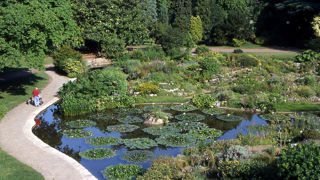 Le jardin alpin du jardin botanique de Lyon. Le jardin alpin du jardin botanique de Lyon.