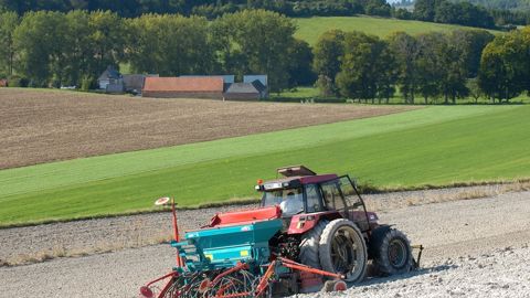 De nombreux agriculteurs espèrent des pluies significatives pour permettre une bonne levée des colzas 2025/26.