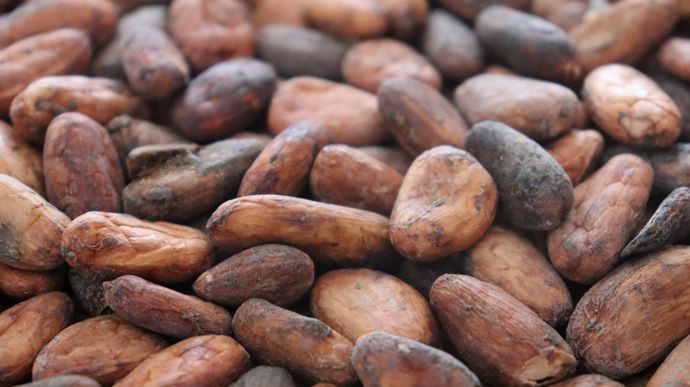 Cacao : les perturbations du marché redistribuent les cartes - Chocolaterie