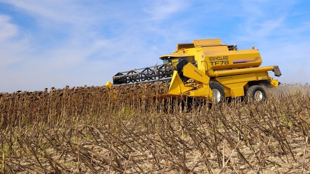 Moisson tournesol