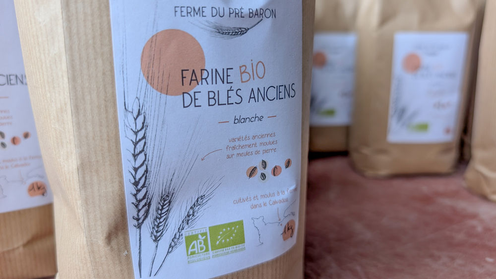 Les variétés anciennes de blé représentent une diversité et des spécificités que le boulanger va tenter d’exprimer dans le pain.