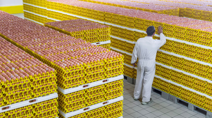 Œufs et ovoproduits : un marché en tension - Marché