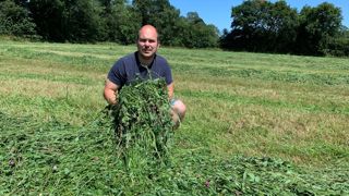 Pour Thomas Pitrel, en EARL avec son conjoint Anthonio, en plus de concourir à l’autonomie protéique de l’exploitation, les prairies multi-espèces sont une solution efficace à pour assainir une parcelle de ses mauvaises herbes. Ici, une association ray grass hybride + trèfles violet et blanc géant semée sous couvert d’avoine rude et trèfle de Micheli pour lutter contre les chénopodes et le panier pied de coq.