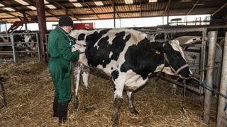 Pendant la phase d'expérimentation de 18 mois pendant le covid, les éleveurs ont eu assez peu recours à la télémédecine vétérinaire. Pendant la phase d'expérimentation de 18 mois pendant le covid, les éleveurs ont eu assez peu recours à la télémédecine vétérinaire.