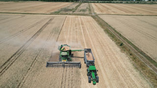 Les volumes français sont en hausse en blé et en orge d’hiver et de printemps cette année par rapport à la campagne de 2024, estime Argus Media.