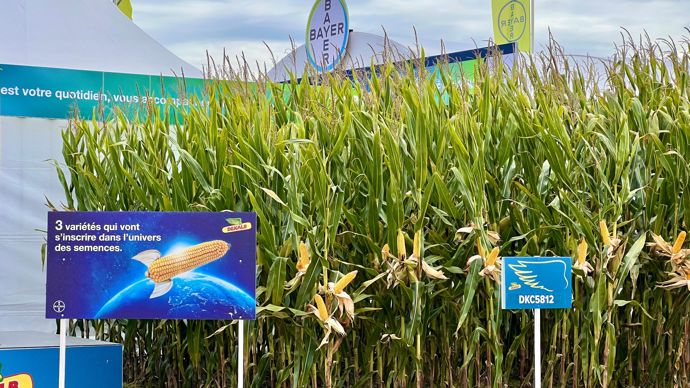 Lors des Méca-Culturales se déroulant à Saint-Agnet (Landes), Bayer a présenté trois nouvelles variétés de maïs grain demi-tardif et tardif.