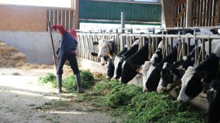 Les salariés devront justifier d'un certificat du médecin pour reporter ses congés.