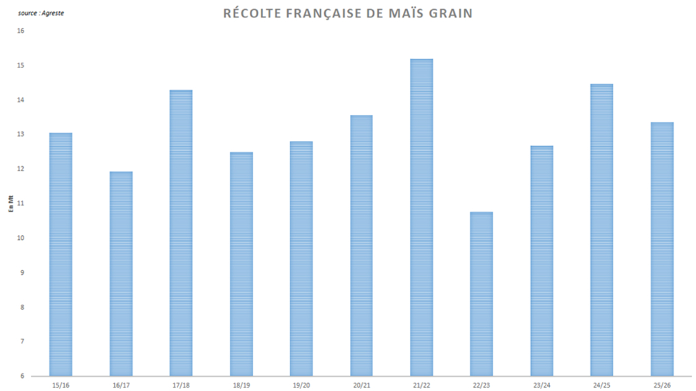 Agreste annonce une nette contraction de la récolte nationale de maïs grain.