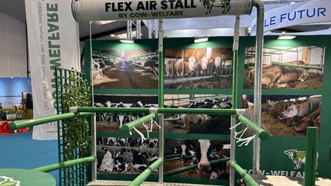 Flex Air Stall de CowWelfare
