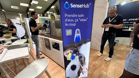 SenseHub Dairy Youngstock par MSD Santé animale