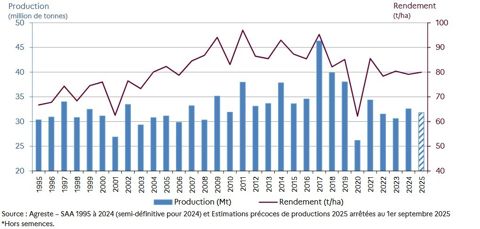 Évolution du rendement et de la production de betteraves sucrières en France de 1995 à 2025