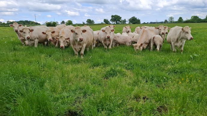 Des revenus à la baisse dans toutes les filières