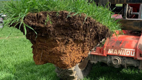 « Avant de labourer ou de déchaumer, un test bêche ou un miniprofil 3D aux fourches du télescopique permet une analyse rapide de la structuration de son sol », estime Justin Guyard, chargé de projets à la chambre d’agriculture du Loiret.