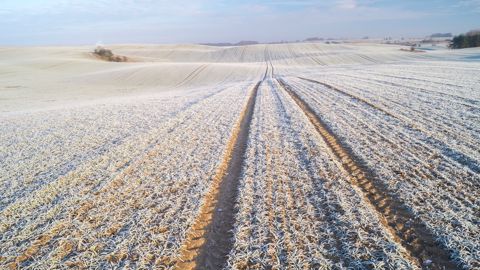 L'automne-hiver 2025-2026 sera-t-il marqué par de nombreux jours de gel ?