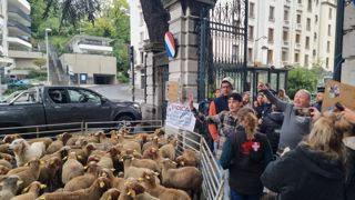 Les éleveurs des départements savoyards ont manifesté le 22 septembre 2025 devant la préfecture de Chambéry pour montrer leur indignation devant l'augmentation de la prédation des loups. Les éleveurs des départements savoyards ont manifesté le 22 septembre 2025 devant la préfecture de Chambéry pour montrer leur indignation devant l'augmentation de la prédation des loups.