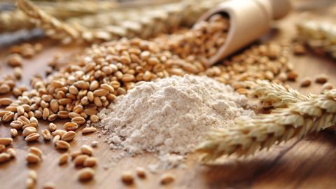 Les poids spécifiques du blé tendre sont très élevés cette année, avec en moyenne 94 % des lots au-dessus de 76 kg/hl, « ce qui permettra de répondre aux besoins du marché ».