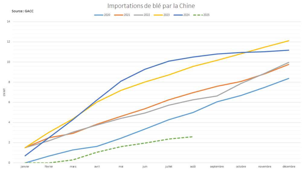 Les importations chinoises de blé sont en forte baisse depuis le début de l'année