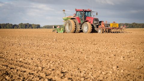 Envisagez-vous de semer de l'orge de printemps à l'automne ? N'hésitez pas à partager vos retours d'expérience dans les commentaires.