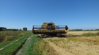 Les surfaces de riz camarguais ont augmenté de 2 000 ha en 2025, pour atteindre 16 000 ha. Les surfaces de riz camarguais ont augmenté de 2 000 ha en 2025, pour atteindre 16 000 ha.
