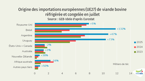 Origine des importations européennes de viande bovine en juillet 2025
