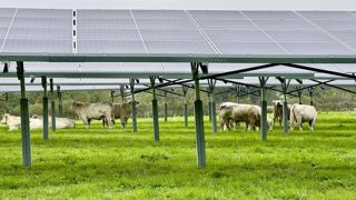 La doctrine normande vise à préserver le potentiel agronomique et à s’adapter à la luminosité régionale. La doctrine normande vise à préserver le potentiel agronomique et à s’adapter à la luminosité régionale.