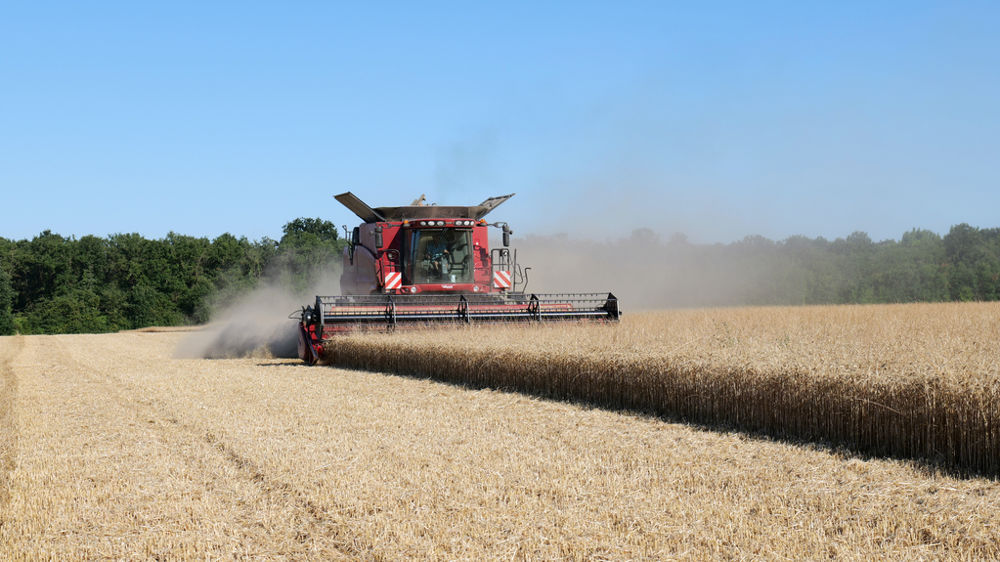 Le volume et la qualité boulangère de la collecte en blé tendre conventionnel sont au rendez-vous cette année, mais pas les prix payés aux producteurs.