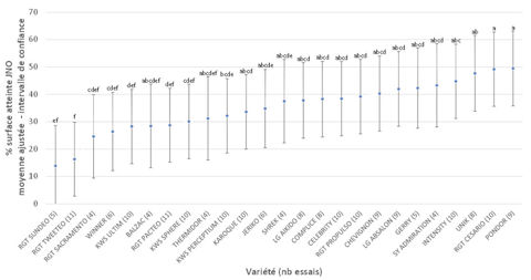 Pourcentage de surface avec symptômes de JNO observés sur des variétés de blé tendre