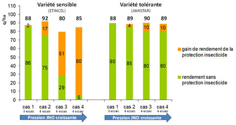 Escourgeon et tolérance variétale à la JNO, rendements et gains acquis avec la lutte insecticide selon différentes pressions de viroses, comparaison une variété sensible et une variété tolérante