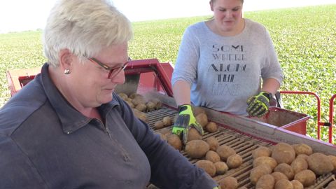 Le dispositif TO-DE en faveur de l'emploi saisonnier est pérennisé.