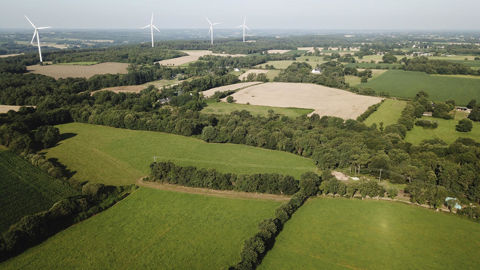 Dans leur étude dressant un état des lieux de l’agroforesterie dans l’Union européenne, les auteurs ont intégré les surfaces avec de « petits éléments ligneux ».