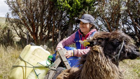 Livraison lait en Equateur