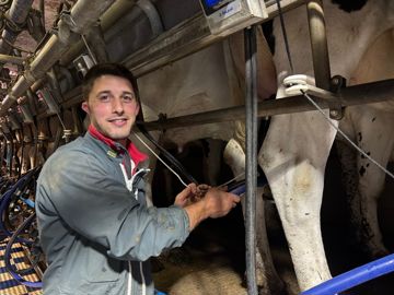 Kévin Lurson jeune éleveur à la traite