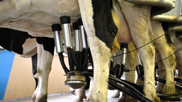 « Le TP et le taux d’urée sont les premiers indicateurs de la composition du lait et varient en situation de stress thermique des vaches laitières », d’après les résultats d’un projet mené par l’Institut de l’Elevage.